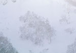 雪景