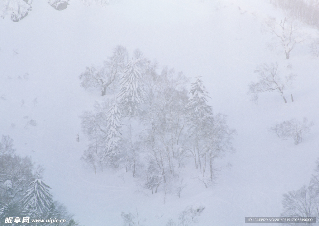 雪景