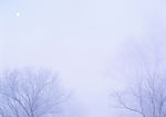 雪景