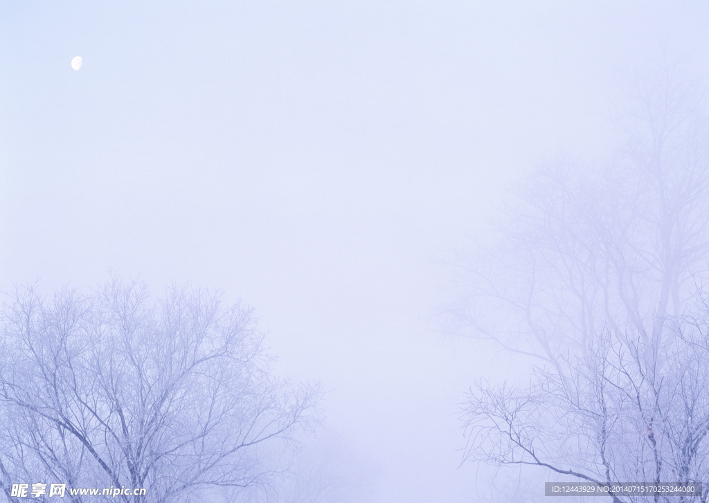 雪景