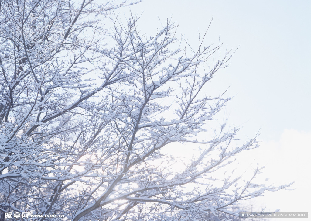 雪景