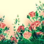 鲜花背景