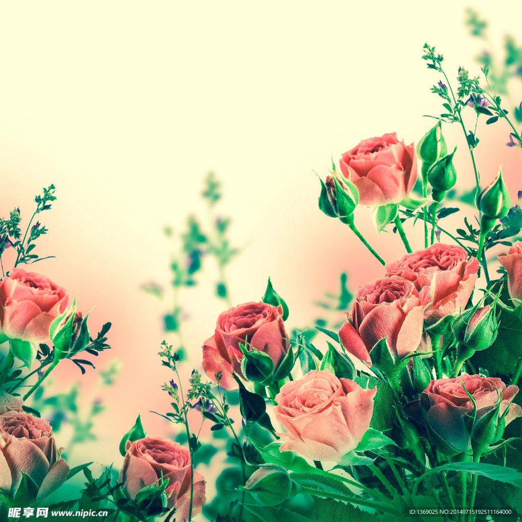 鲜花背景