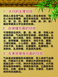 火疗功效