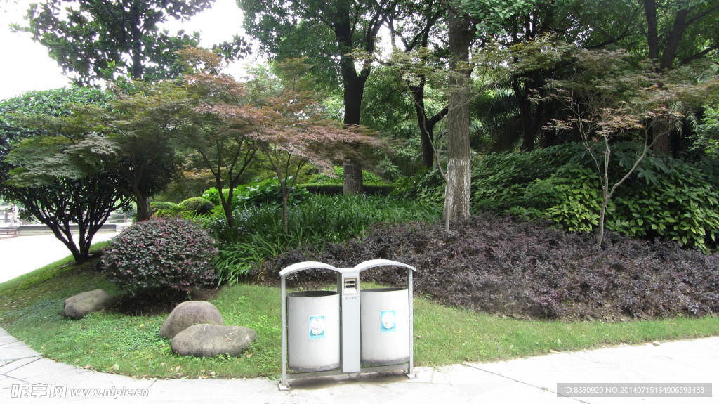 园林植物