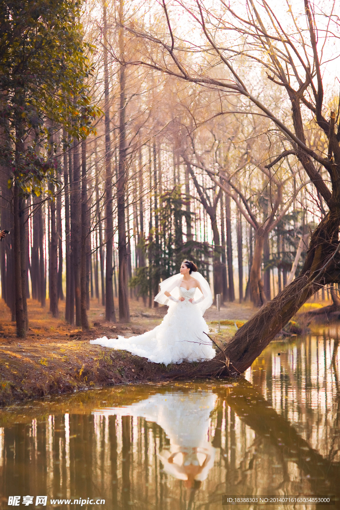 婚纱美女