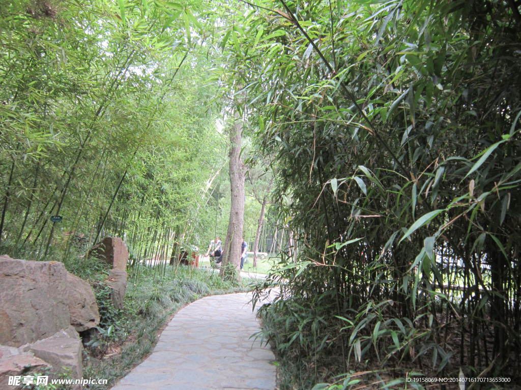 竹林小路