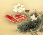 鱼工笔画