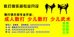 武术
