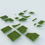草地  植物模型
