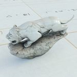 猎豹