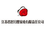 江苏好月嫂家政