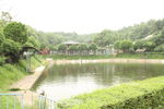 鱼塘风景
