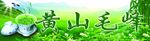 黄山毛峰