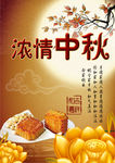 中秋