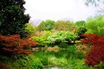 植物园一景