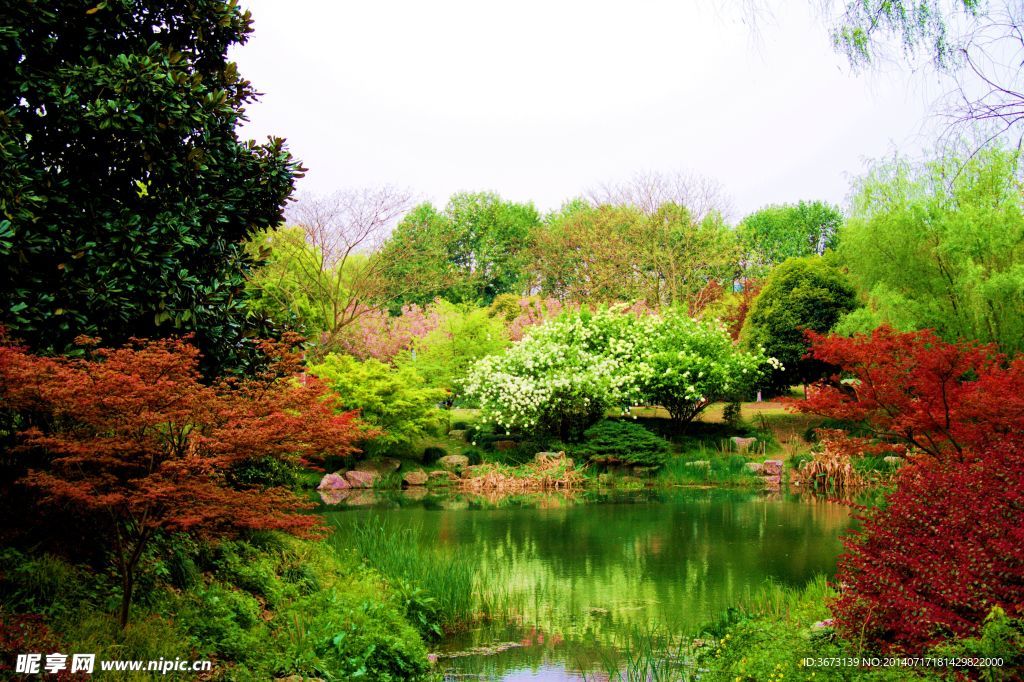 植物园一景