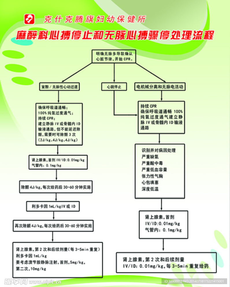 麻醉科 医院 保健所 