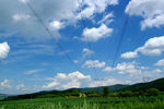 田园景观
