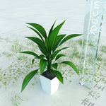 盆栽  精美盆栽模型