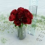 玫瑰花