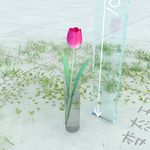 盆栽  精美盆栽模型