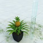 菠萝