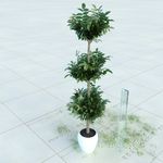 盆栽  精美盆栽模型