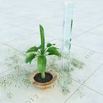 盆栽  精美盆栽模型