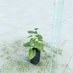 盆栽  精美盆栽模型