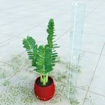 盆栽  精美盆栽模型