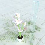 花模型
