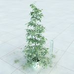 盆栽  精美盆栽模型