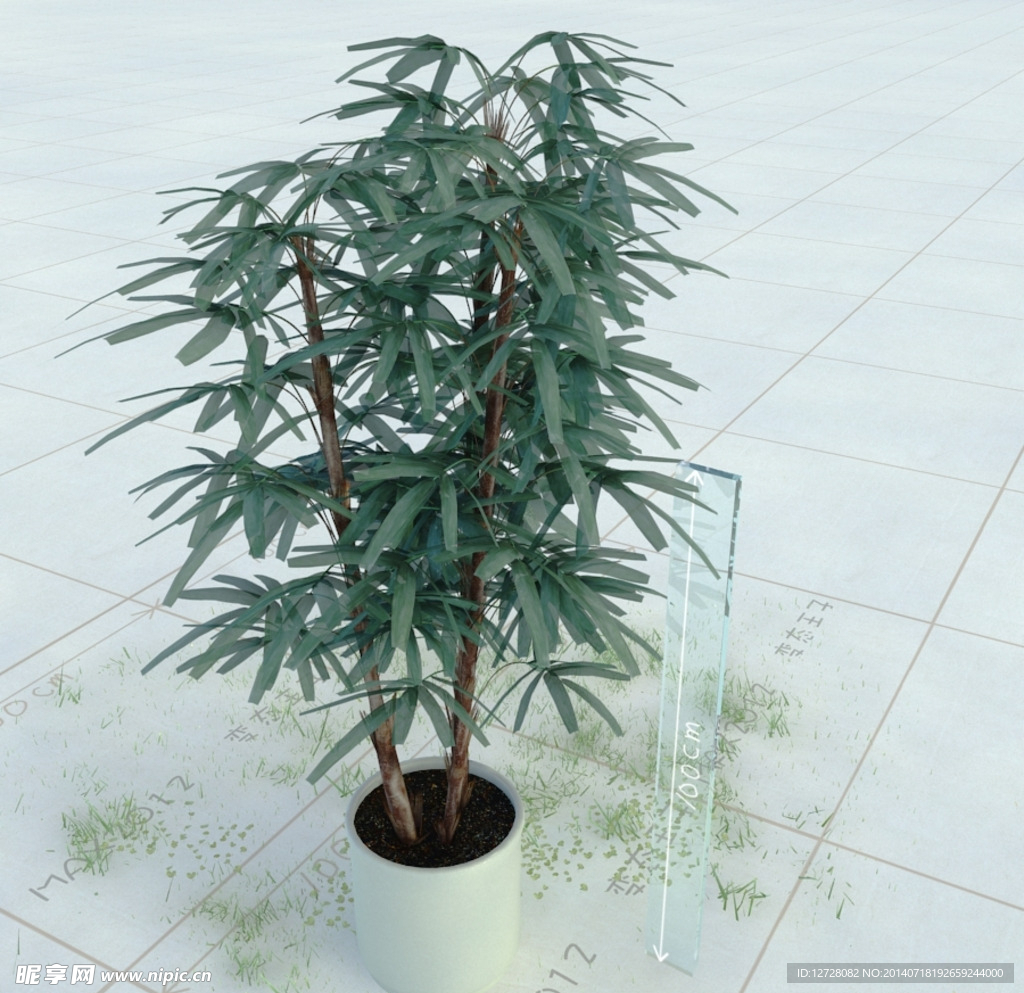 盆栽 精美盆栽模型
