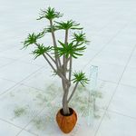盆栽 精美盆栽模型