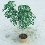 盆栽 精美盆栽模型