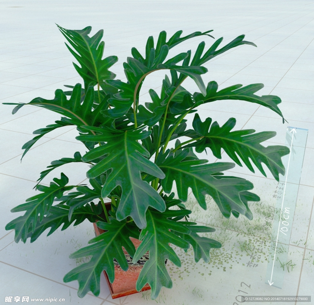 盆栽 精美盆栽模型