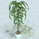 盆栽 精美盆栽模型