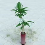 盆栽 精美盆栽模型