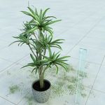 盆栽 精美盆栽模型