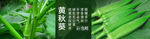 蔬菜秋葵海报