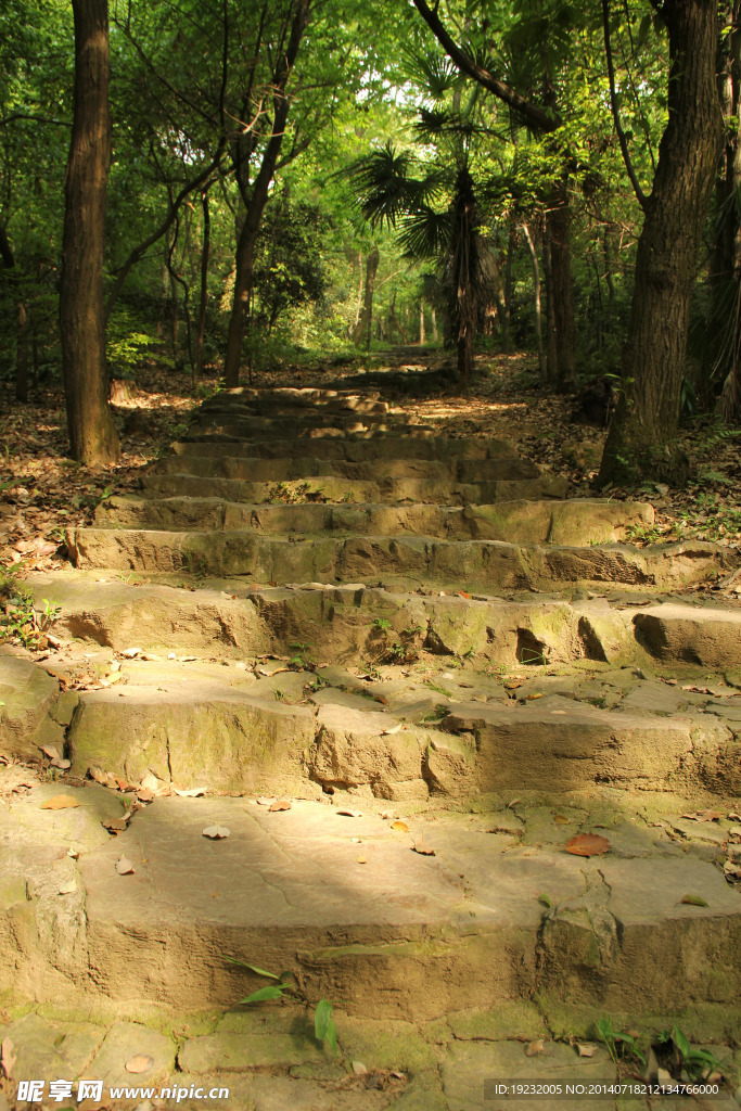 静谧山路
