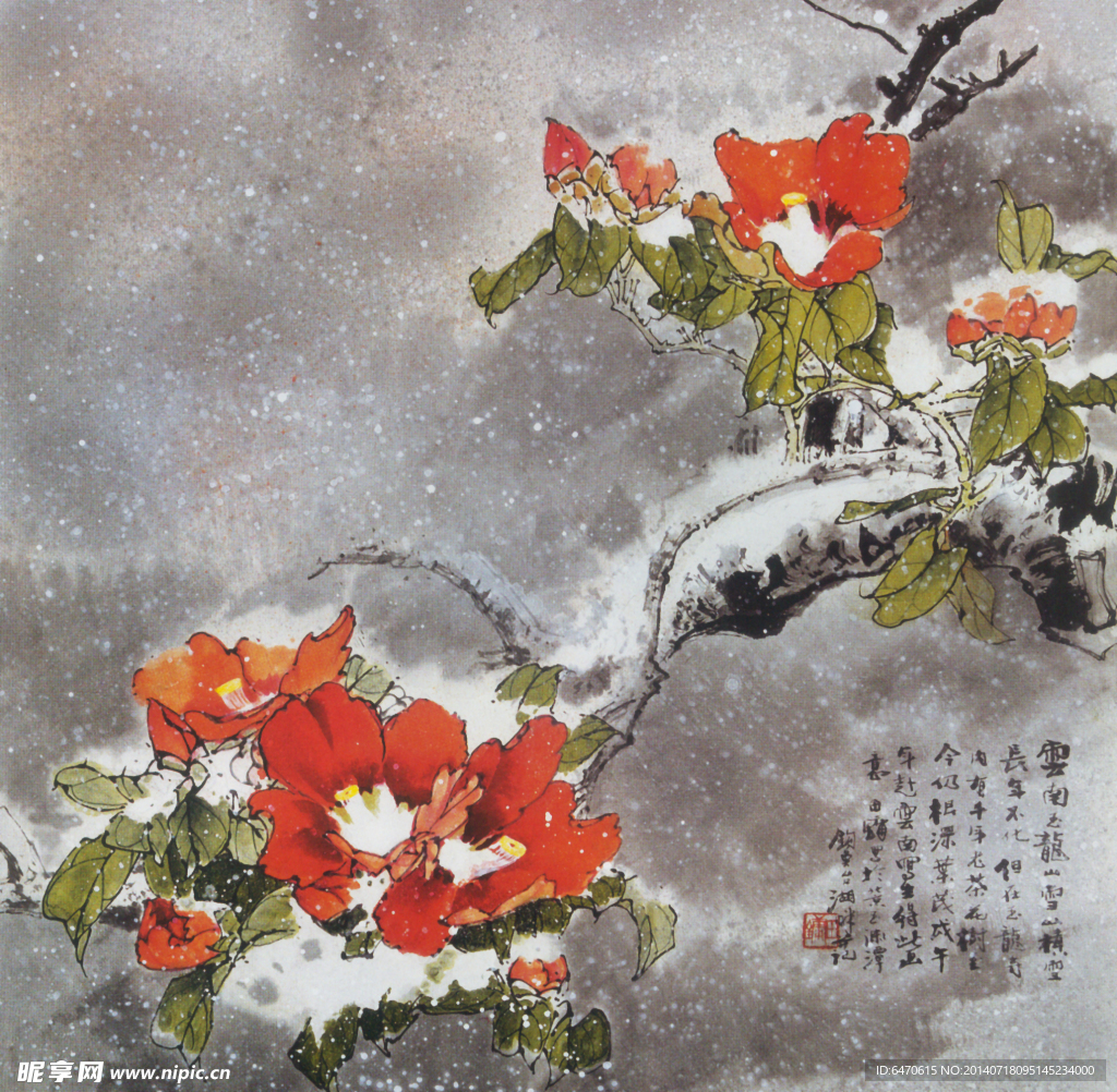 玉龙冬雪茶花图