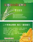 绿宝种业名片
