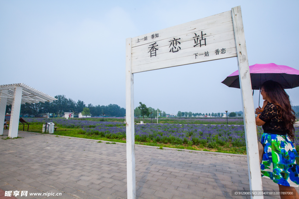 蓝调薰衣草庄园