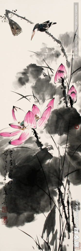 荷花翠鸟
