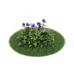 花模型  植物模型