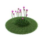 花模型  植物模型