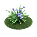 花模型  植物模型