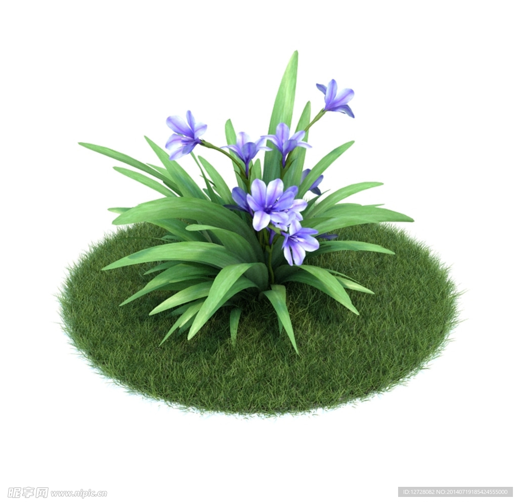 花模型  植物模型
